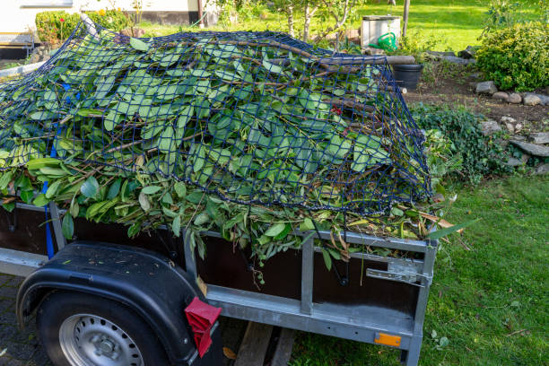 Best Electronics and E-Waste Disposal  in Spring Lake, MI